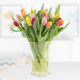 20 Mixed Tulips