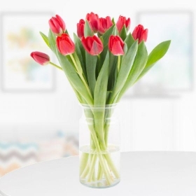 10 Red Tulips