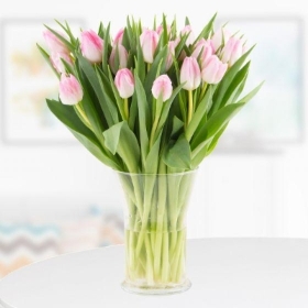 30 Pink Tulips