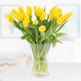 20 Yellow Tulips