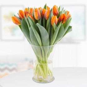 20 Orange Tulips