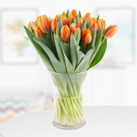 30 Orange Tulips