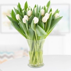 30 White Tulips