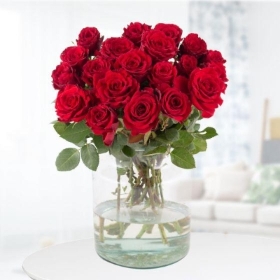 20 Red Roses